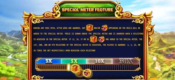 SPECIAL METER FEATURE